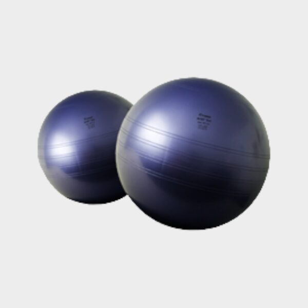 Beckenboden Therapie Ball Original von Kögl